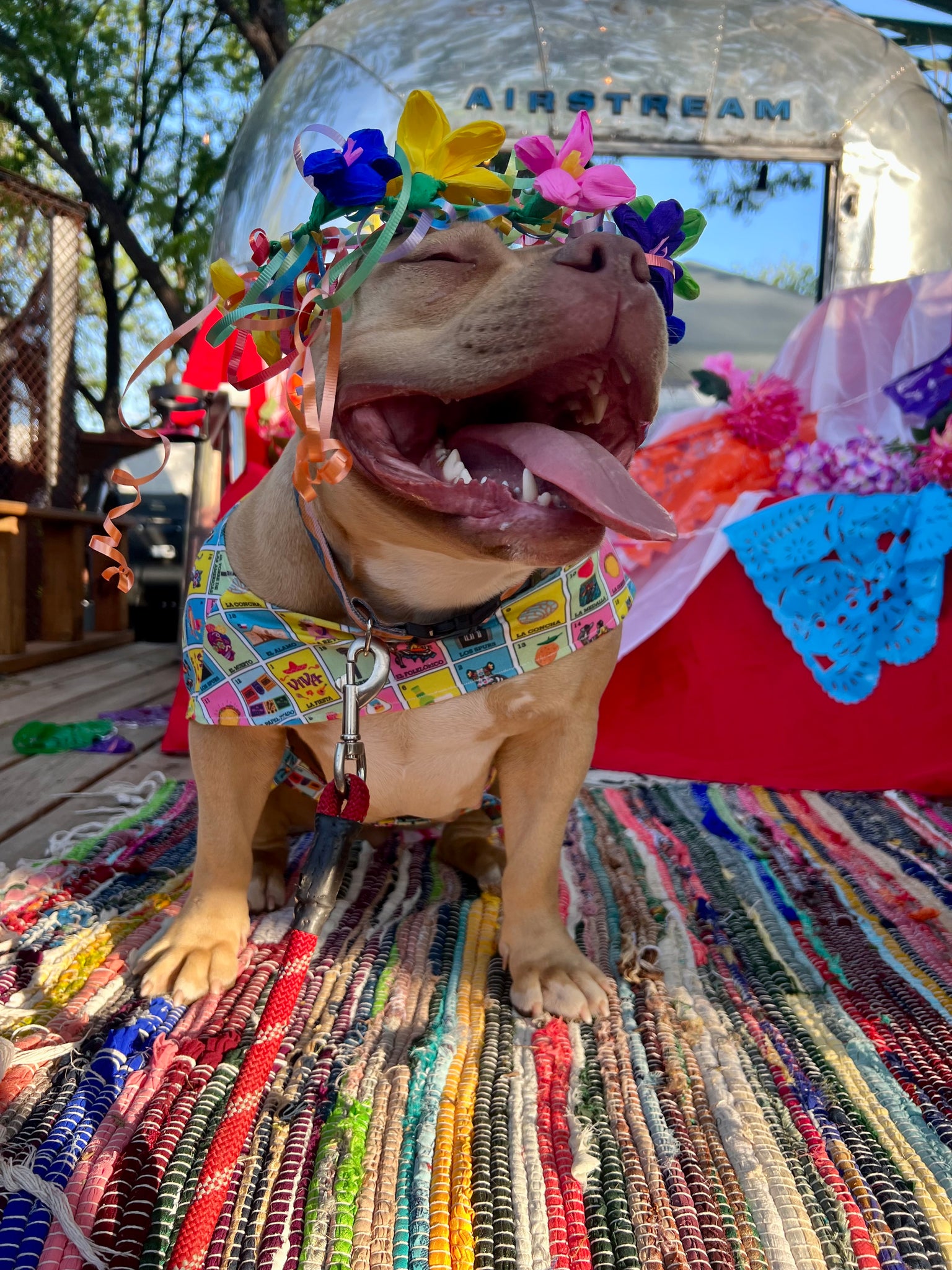 Howl-O-Ween at Hops and Hounds